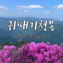 5월의 귀때기청봉 260516 이미지