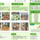 금호산 유아숲체험원 이미지