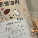 해뜨는 동물병원 이미지