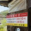 진짜메밀묵집 | [ 맛있는 끄적임 #97 ] 영월 맛집 "주천묵집" 내돈내산 솔직 후기 🏠 | 주차 🚗 웨이팅 👥 추천 메뉴 🍚