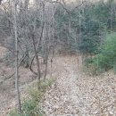 팔용초등학교 이미지