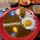 부산 동구 맛집 부산진역 카레맛집 규봉카레 방문 후기