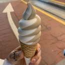 용목장 | 청주카페 상하목장 소프트아이스크림 맛집 미오 MIO 밀크커피 맛 솔직후기