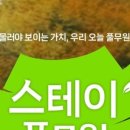 스테이 선선 이미지