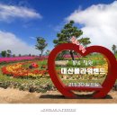 플라워21 이미지