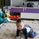 미서네 네이버블로그