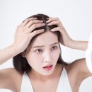 더스칼렛두피탈모센터