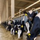 종합축사 이미지