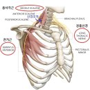 압구정한의원 찾아가는 길,경희랑한의원 예약하는 방법