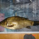 중흥 낚시터 이미지