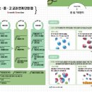 창의력 실험과학 이미지