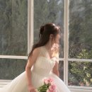 [서울/도곡동미용실] 본식을 준비해보자: '마끼에 타워팰리스' 에서 본식용 톤다운 염색 애쉬브라운 성공🤎