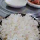 김생곤의한우생각