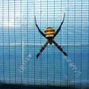 인평농장 이미지