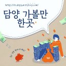 죽녹원아래대나무세상