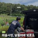 달봉이네 | [나눔정원] 마을동물복지사업/달봉이네 보호소 사료 전달 후기를 전합니다.