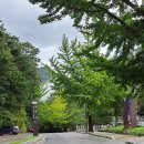 합천고려병원 | 경남 합천 가야산(해인사)