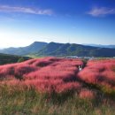 가산농장 이미지