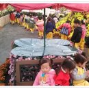 007-문산-007 이미지