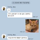 레스트윗 | 하루 한줄 335.