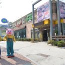 신토오리