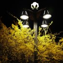 아포어린이집 | 라이카 Q3 43 내돈내산 야경 후기, 부여 궁남지 심야 출사 기록