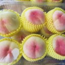 태우농장 이미지