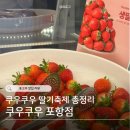 축제_L | 쿠우쿠우 딸기축제 : 포항점 메뉴 및 딸기시즌 꿀팁 총정리