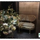 엑스와이엠 프리미어(XYM) 이미지