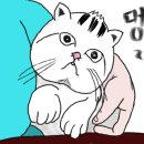 햇살공방 이미지