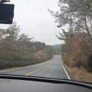 동아리조트 | 부모님과 함께하는 3박 4일 제주도⛰️ | 4일차(우무🍮, 카페레크레, 신동아렌트카)