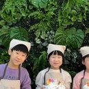 키즈포레스트 이미지