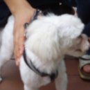 성원아파트 앞 이미지