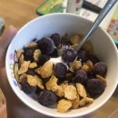 NR-30[호국로]-하-302 | 지나간 여름방학 Part 2(2021년 8월)