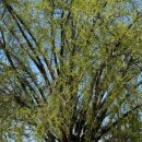 플레이스802(PLACE 802) 이미지