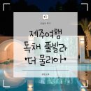 더스마일 독채 풀빌라 | [제주여행] 제주도 숙소 추천ㅣ더 물리아 독채 풀빌라 가격 , 숙소 연박 후기