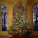 일본어 원어민 이미지