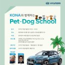 펫도그 애견스쿨 이미지