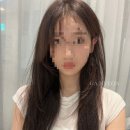 티파니미용실 - 안동시 | 티파니미용실
