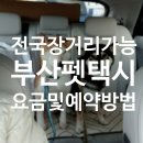 펫택시콜 | 부산 해운대 펫택시 '푸씨네' 가격요금과 예약방법, 전국 서울 제주 장거리도 가능!
