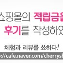 카페 도헤이
