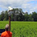 허수아비 이미지