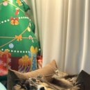 온새네 간식점 이미지