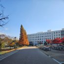 가천대학교 간호대학원 | 대학원이야기 | 30년차 간호사, 간호대학원 합격 후기: 다시 공부를 시작합니다.