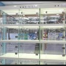 날라리 캣 이미지