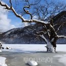 취향 이미지