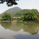 영산 연지못 이미지