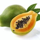 PAPAYA 이미지