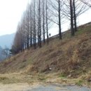 금호스틸 이미지