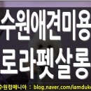 로라펫살롱 이미지